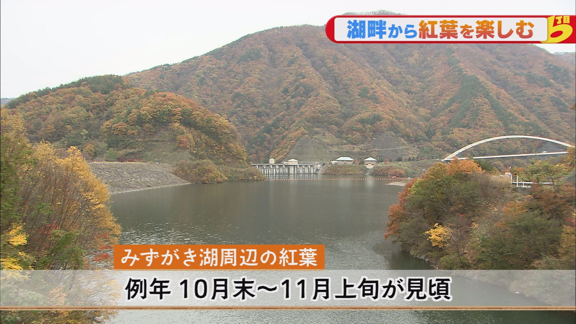 クロめし 北杜市須玉町みずがき湖周辺を散策 ウッティタウン6丁目 utyテレビ山梨 クロめし 北杜市須玉町みずがき湖周辺を散策 ウッティタウン6丁目 utyテレビ山梨