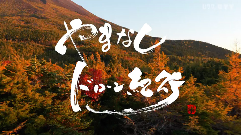 やまなしドローン紀行 #131　山梨の秋 vol.2