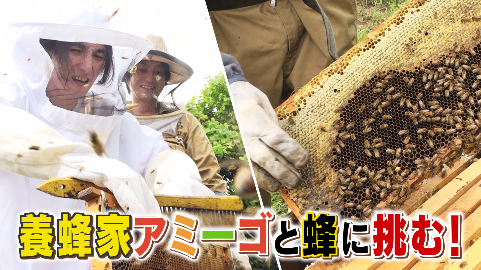 太郎のやまなしアミーゴス  #83 奥山養蜂&ampampきくや食堂