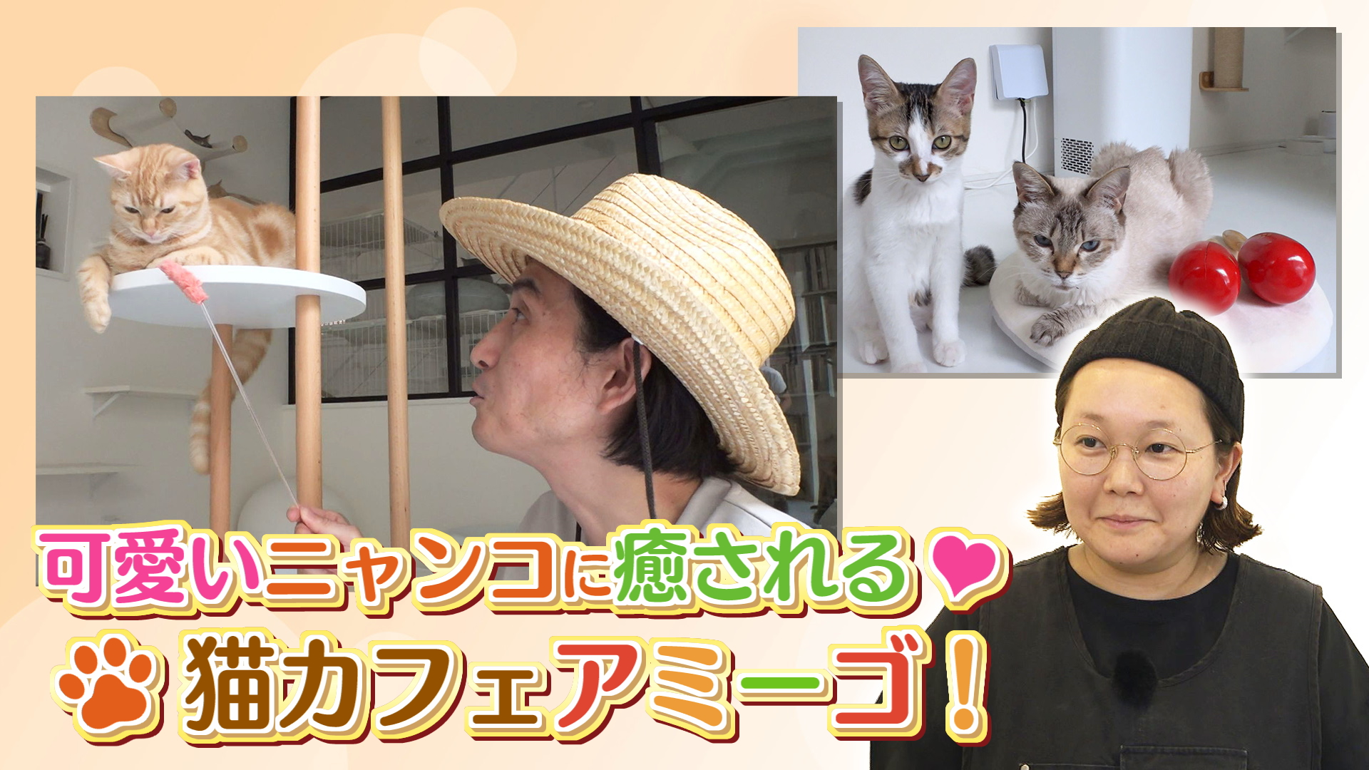 太郎のやまなしアミーゴス #92 ブドウ農家・農業短歌 菅原玄太さん & 保護猫カフェ ニャンコネクト