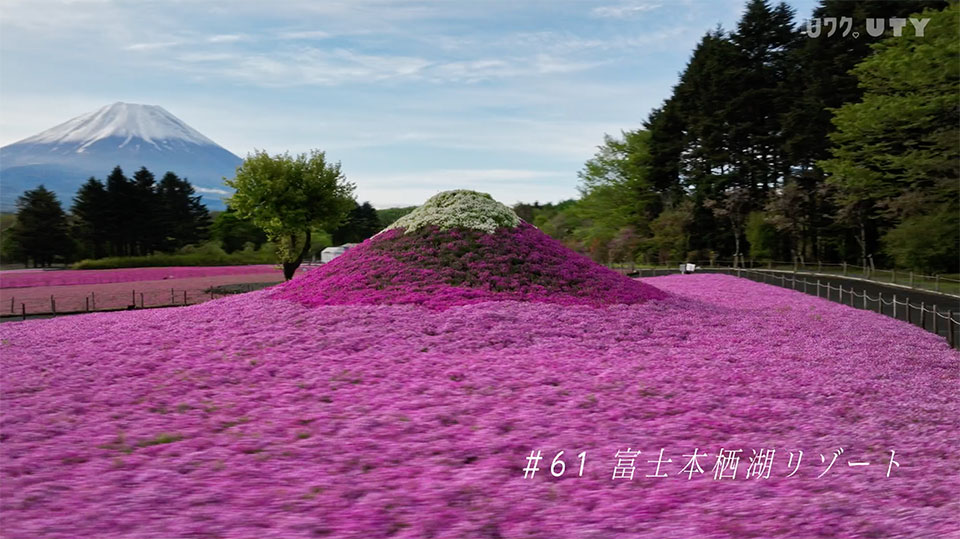 やまなしドローン紀行 #61  富士本栖湖リゾート