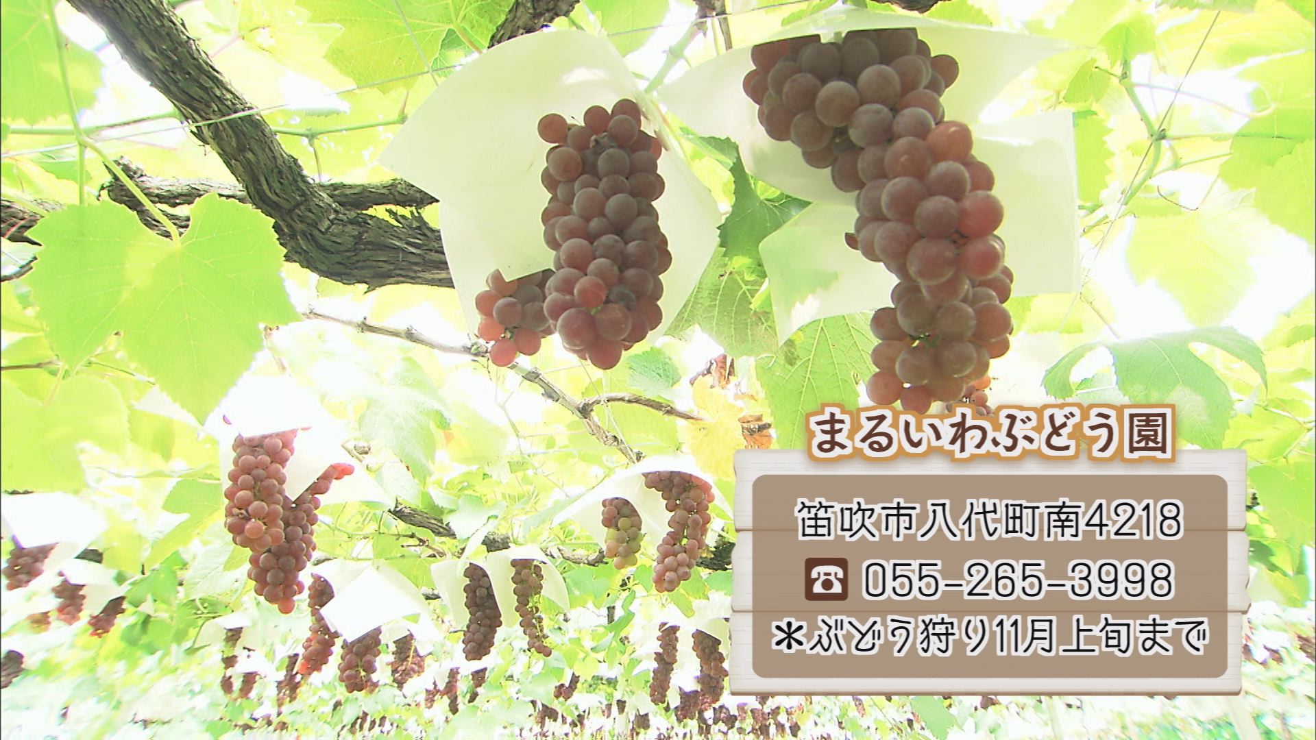 クロめし 11 ウッティタウン6丁目 utyテレビ山梨 クロめし 11 ウッティタウン6丁目 utyテレビ山梨