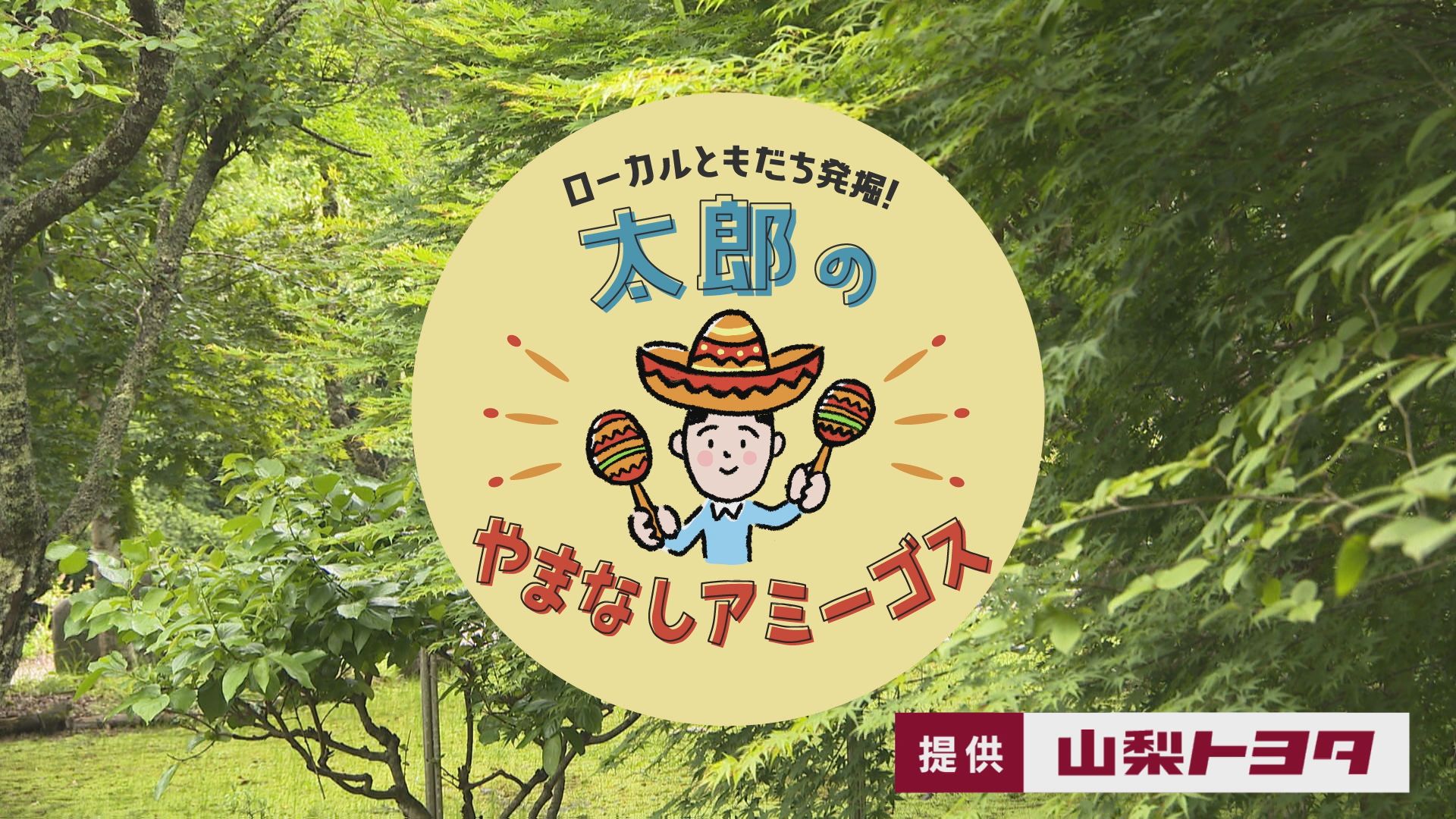 太郎のやまなしアミーゴス　＃11　山祇ジビエ　もくめ書店