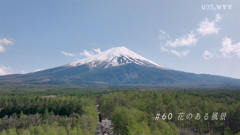 やまなしドローン紀行 #60  花のある風景