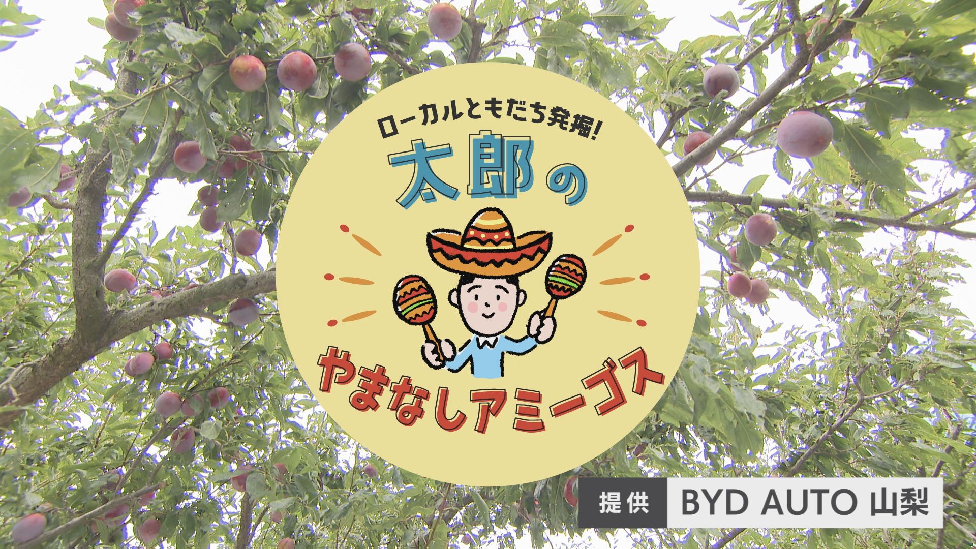 太郎のやまなしアミーゴス ♯17 フルーツ農家 中嶋兼進さん