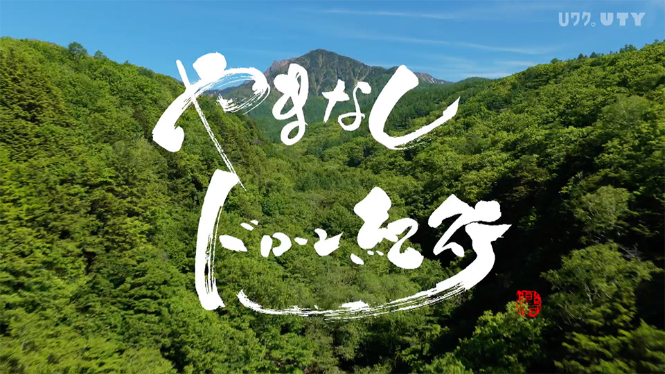 やまなしドローン紀行 #126　山梨の新緑初夏 vol.2