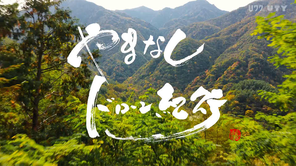 やまなしドローン紀行 #135　精進ヶ滝