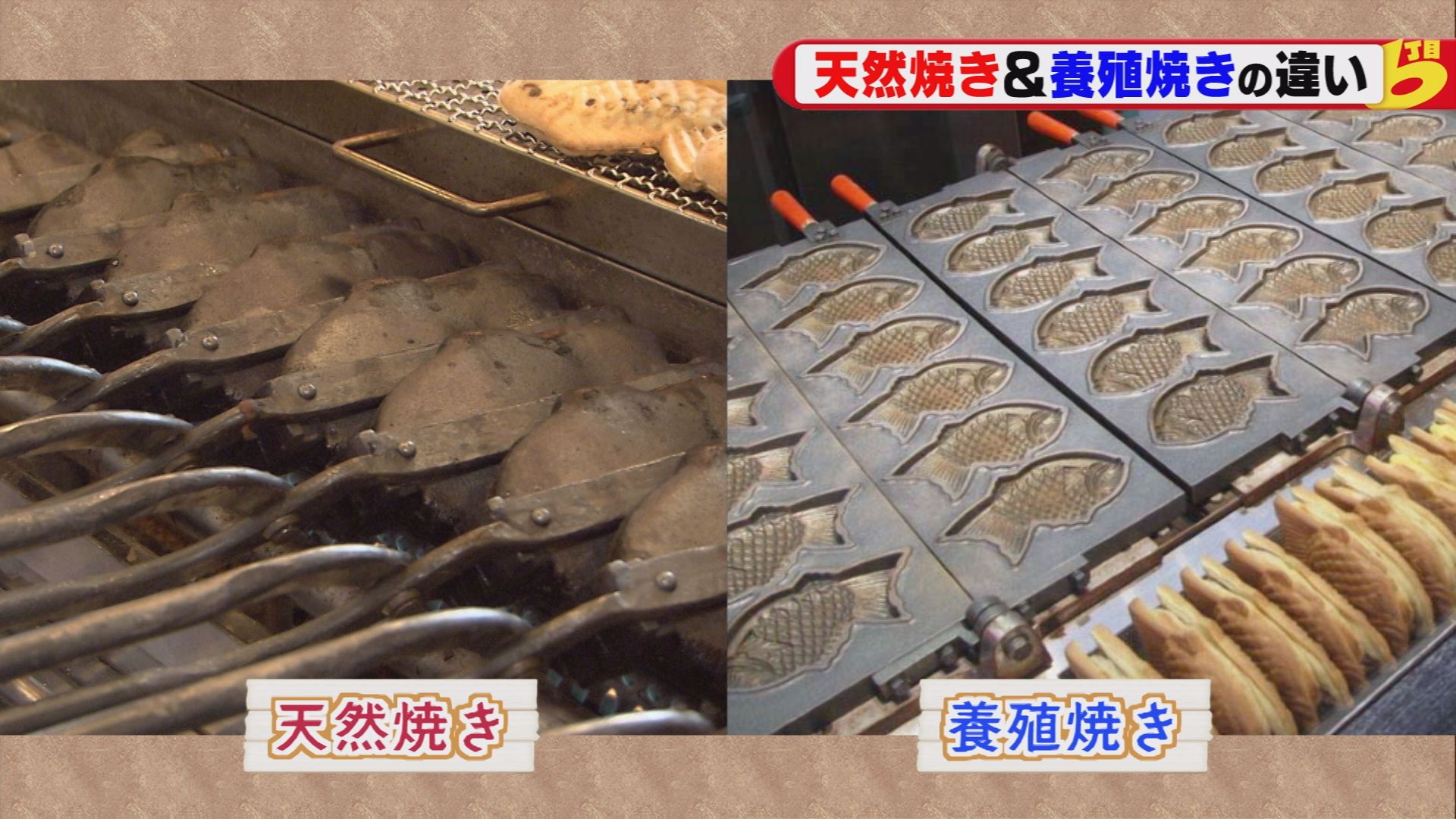 クロめし 甲府市上阿原町を散策 ウッティタウン6丁目 ｕｔｙテレビ山梨