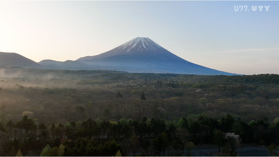 やまなしドローン紀行 #76  富士本栖湖リゾート