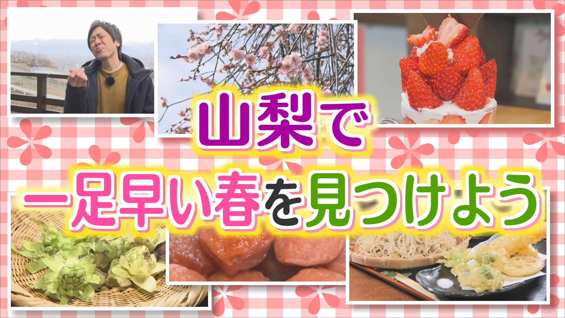 火曜特集　山梨で一足早い春を見つけよう！