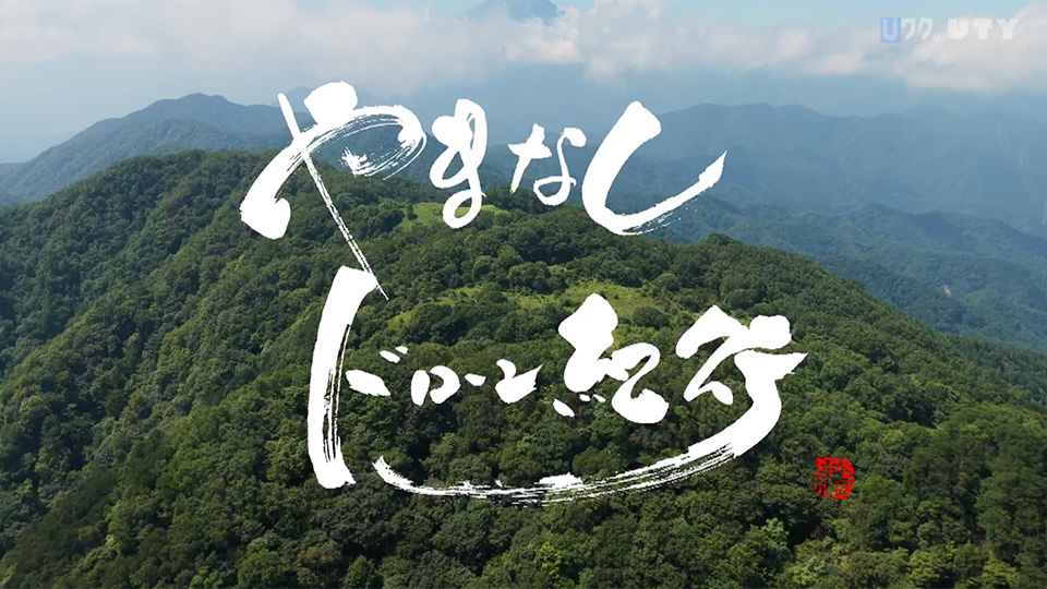 やまなしドローン紀行 #128　山梨の夏
