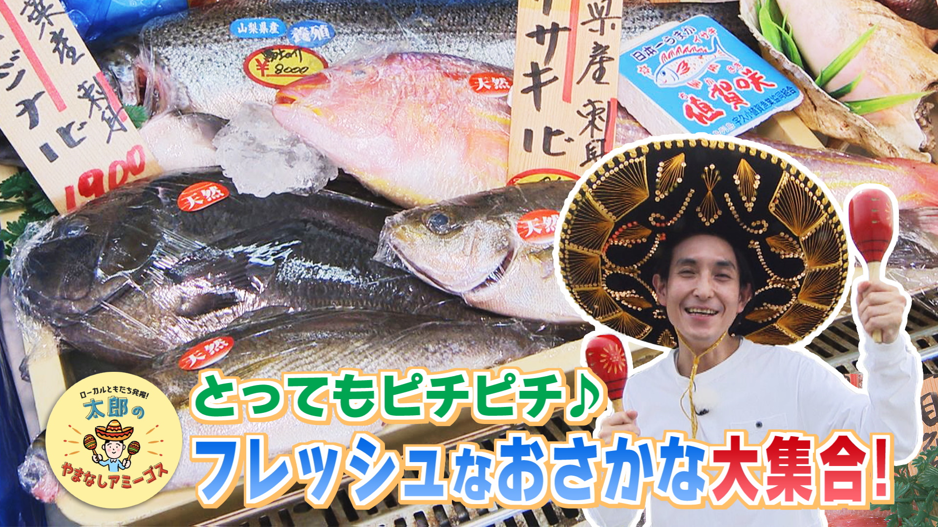 太郎のやまなしアミーゴス #78 おさかな屋きたいさん