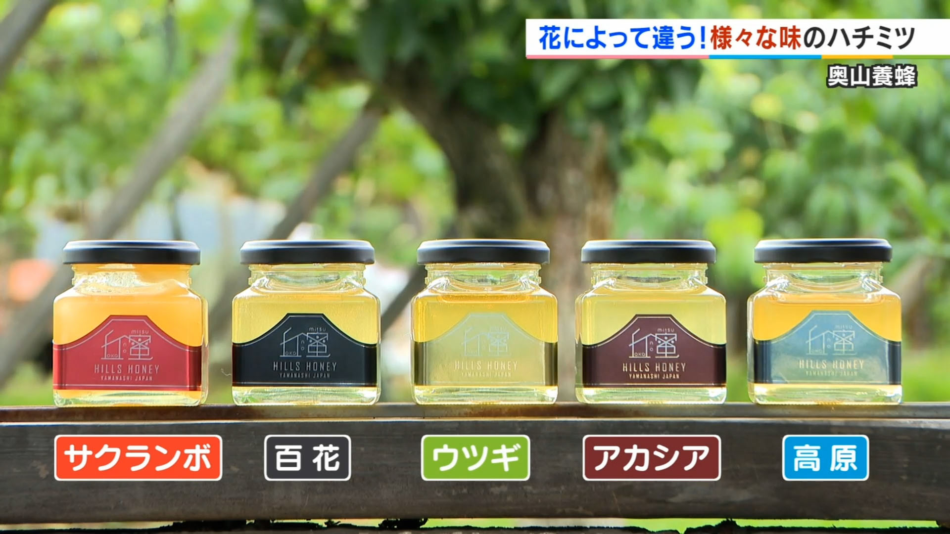奥山養蜂