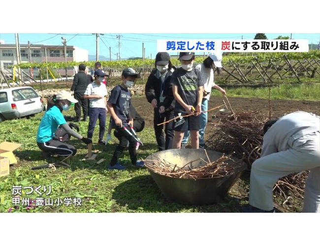 SDGsを体験学習　農家から集めたブドウの剪定枝　児童が炭にして畑にまく