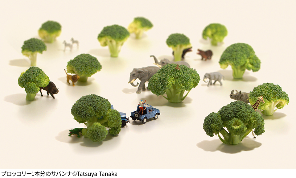 MINIATURE LIFE展 田中達也 見立ての世界
