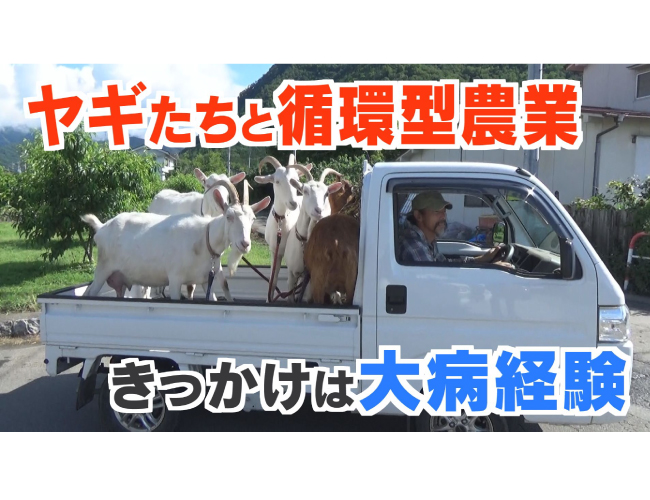 【SDGs】「動物たちは畑づくりのパートナー」ポニーとヤギと営む循環型の農業　きっかけは大病経験