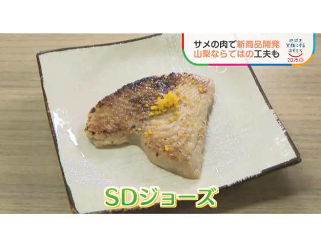 「使えるのであれば“もったいない”」高級食材 フカヒレ　海に廃棄されるサメ肉も工夫で美味しく