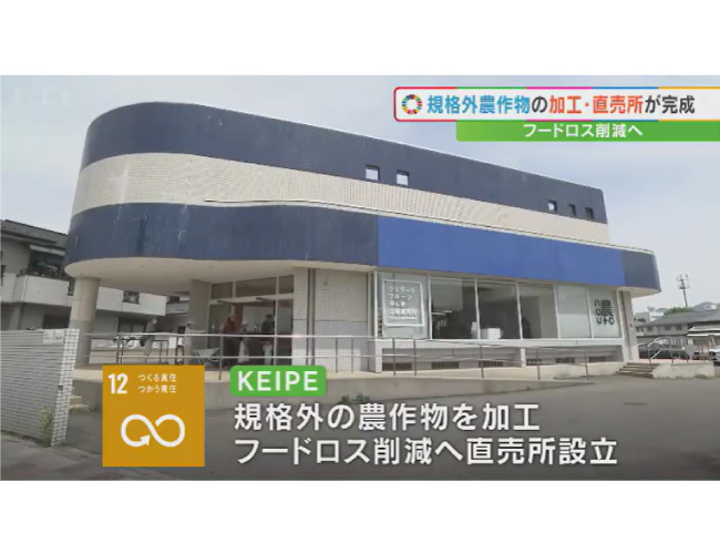 規格外の農作物を加工してフードロスの削減に　笛吹市に工場・直売所が完成